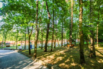 photo 68ff3cda9dabf_thumb.jpg