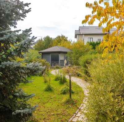 photo 68ff491dce050_thumb.jpg