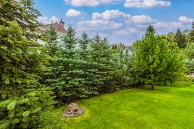 photo 68ff6ee8a3017_thumb.jpg