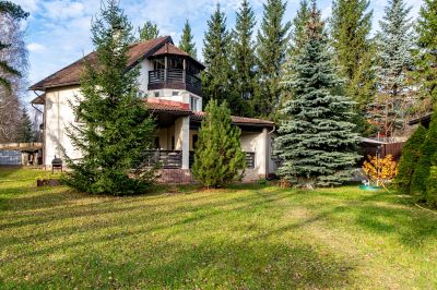 photo 6916fa52eacbc_thumb.jpg