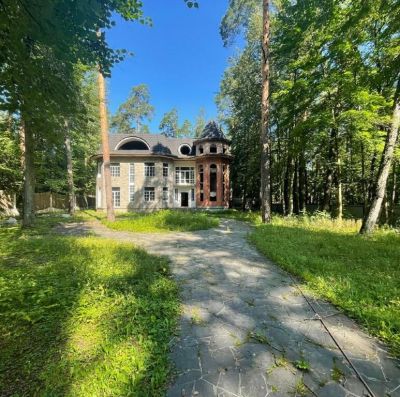 photo 6901dc2724874_thumb.jpg