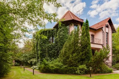 photo 690a385c389ea_thumb.jpg