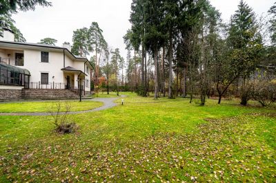 photo 690b1f0d7d64d_thumb.jpg