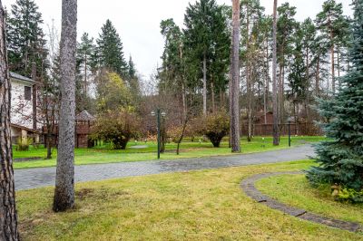 photo 690b1f358c012_thumb.jpg