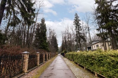 photo 12499_11978_63bdbbd173abb_thumb.jpg