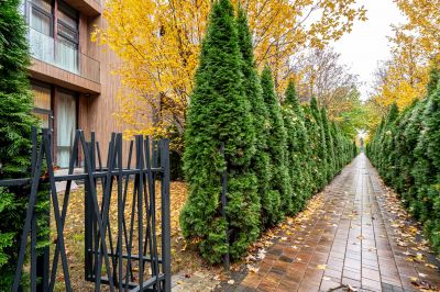 photo 690da99c06cbf_thumb.jpg