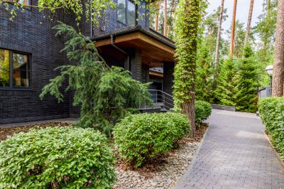 photo 690dbc6333d59_thumb.jpg