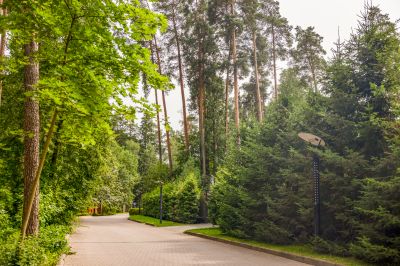 photo 690dbfa79b94f_thumb.jpg