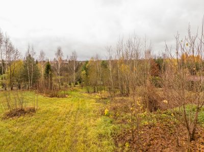 photo 690dc238d1e94_thumb.jpg