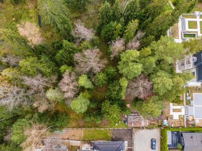 photo 690dd07627345_thumb.jpg