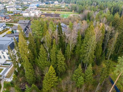 photo 690dd07dda3ab_thumb.jpg