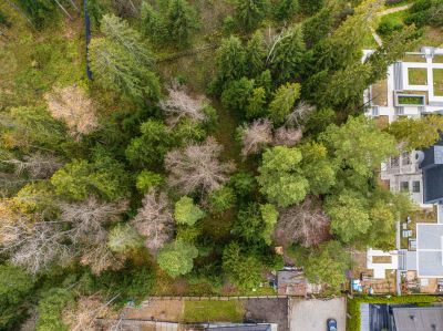 photo 690dd099d7c84_thumb.jpg