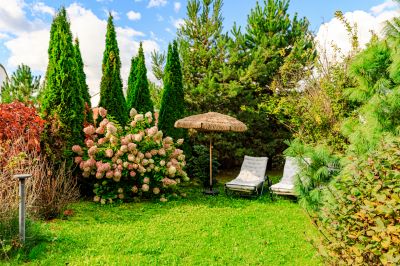 photo 690deb19dc8d6_thumb.jpg