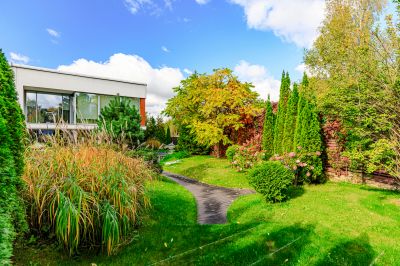 photo 690deb1cac69a_thumb.jpg