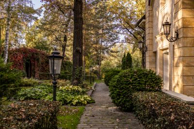 photo 6913088958f49_thumb.jpg