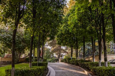 photo 6913088aa252d_thumb.jpg