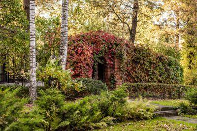 photo 691308b6a1d81_thumb.jpg