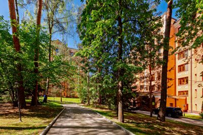 photo 69131fe7be91c_thumb.jpg