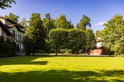 photo 691452a39e995_thumb.jpg