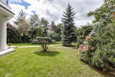 photo 6915ad02f08a2_thumb.jpg