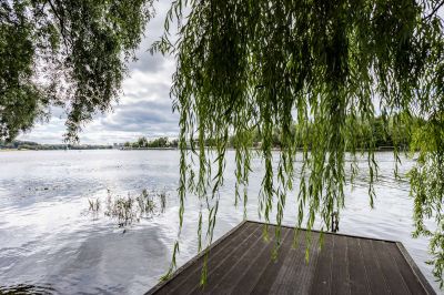 photo 6915ad12d376d_thumb.jpg