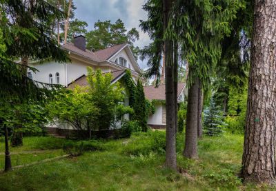 photo 6915e6ca2d6b2_thumb.jpg