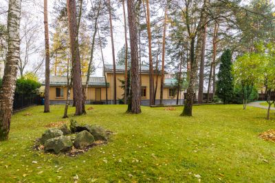 photo 691c555ebcd53_thumb.jpg