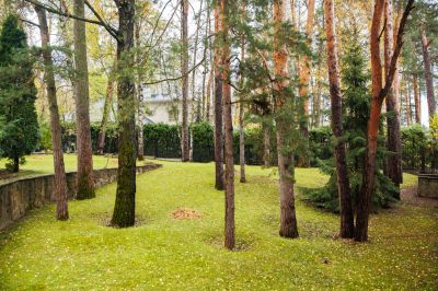 photo 691c5561e095d_thumb.jpg