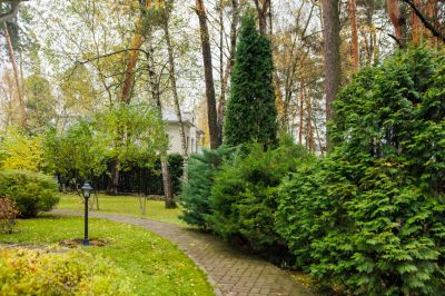 photo 691c5562508c3_thumb.jpg