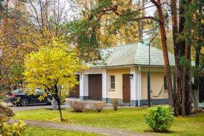 photo 691c5562b9f56_thumb.jpg