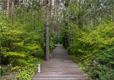 photo 691c696094bda_thumb.jpg