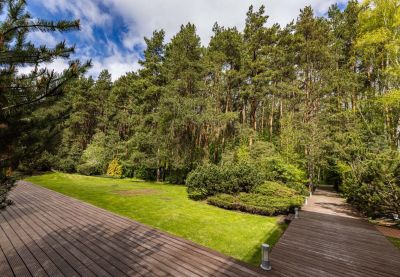 photo 691c6963a9cce_thumb.jpg