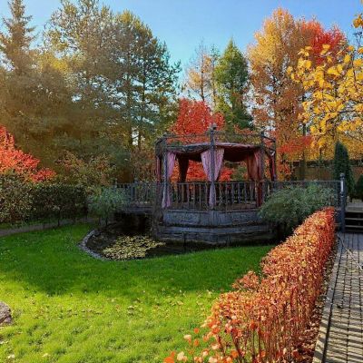 photo 691c73a2e6fc3_thumb.jpg