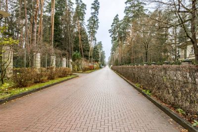 photo 691c7f19da211_thumb.jpg