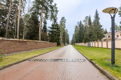 photo 691c7f1adf13f_thumb.jpg