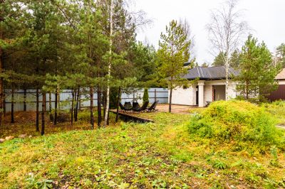 photo 691d8fcc3b9e6_thumb.jpg