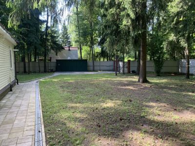 photo 691f0a939621e_thumb.jpg