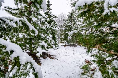 photo 69202acf3a375_thumb.jpg