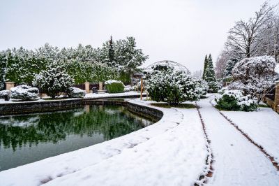 photo 69202adc509b3_thumb.jpg