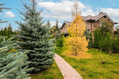 photo 69203ec16315a_thumb.jpg