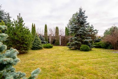 photo 69240d905dedb_thumb.jpg