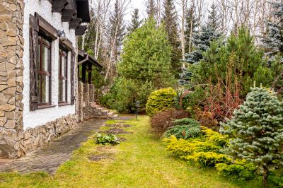 photo 69240d93ab24a_thumb.jpg