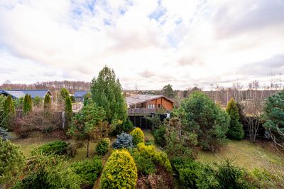 photo 69240def0aae7_thumb.jpg