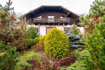 photo 69240e01a437d_thumb.jpg