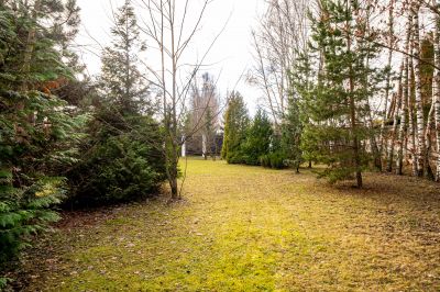 photo 69240e09b86cf_thumb.jpg