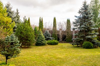 photo 69240e0d40340_thumb.jpg