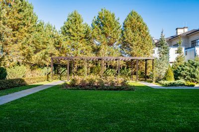 photo 6924471a9a03e_thumb.jpg