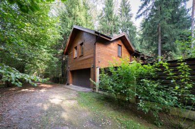 photo 69245bd076e8a_thumb.jpg