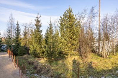 photo 692572b16ea29_thumb.jpg