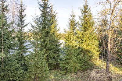 photo 692572b2772ce_thumb.jpg